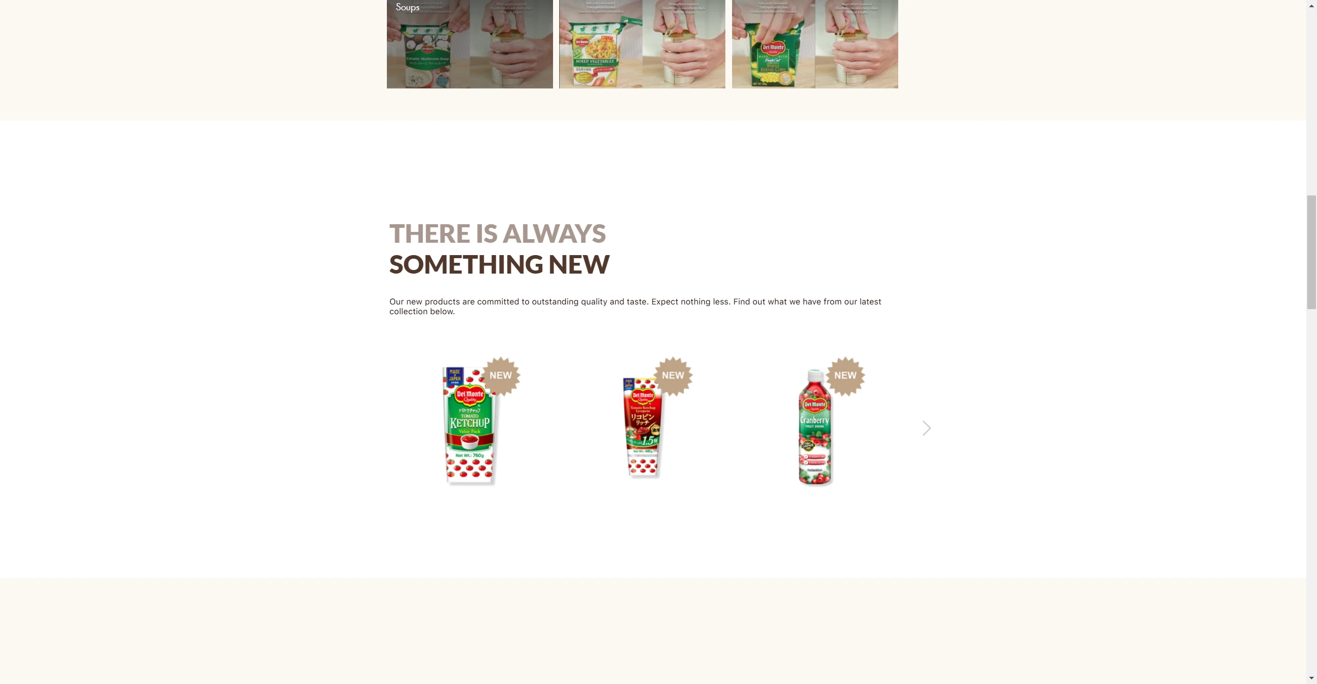 Del Monte Asia — New product section