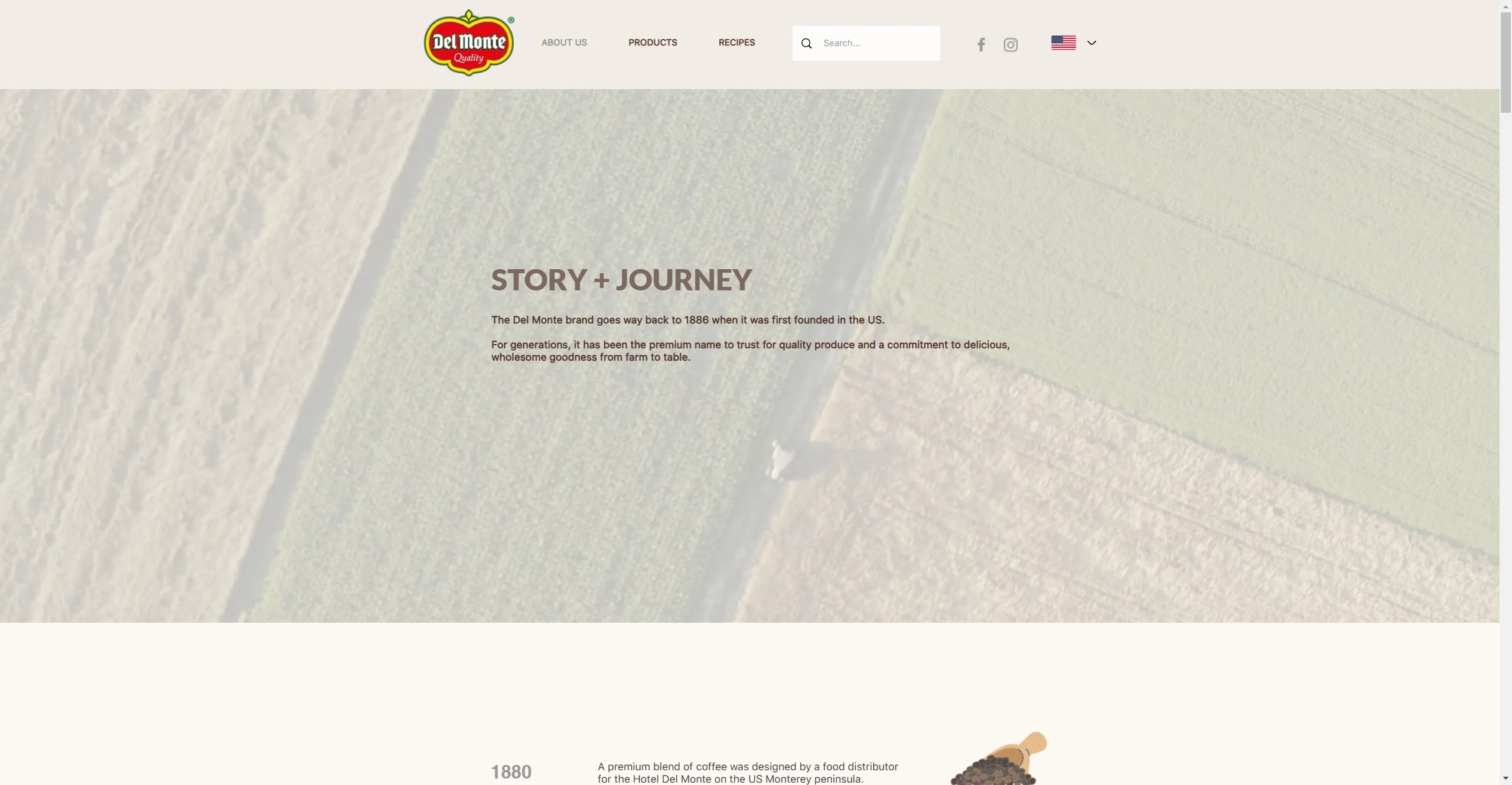 Del Monte Asia — Our story page section